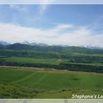 P1230314_Frame(trans_whiteline).JPG
