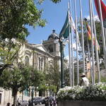 IMG_7847.JPG