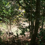 ads 870.jpg