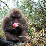 2010_SiChuan_Outing009.jpg