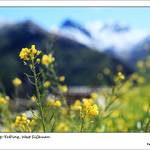 201110_DaochengCounty