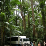 Our "bus" for the journey
