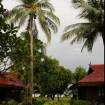 DSC00195.JPG