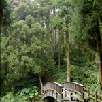 DSCN0336.jpg