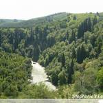 P1230319_Frame(trans_whiteline).JPG