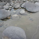 DSC04945.JPG