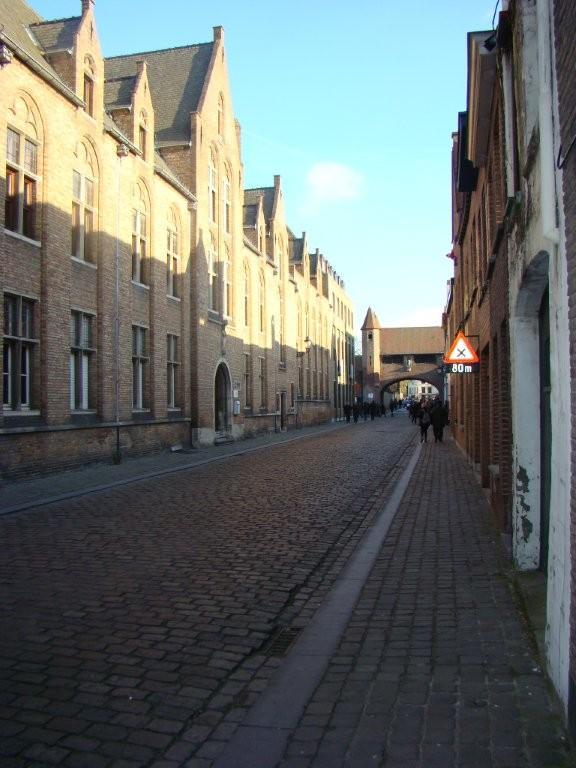 DSC02252.jpg