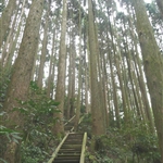 加里山 (40).JPG