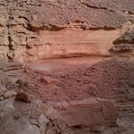 IMG-20120511-00462.jpg
