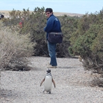World Tour part 2 : Puerto Madryn (Punta Tombo)