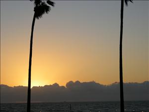 DSCN2584.jpg