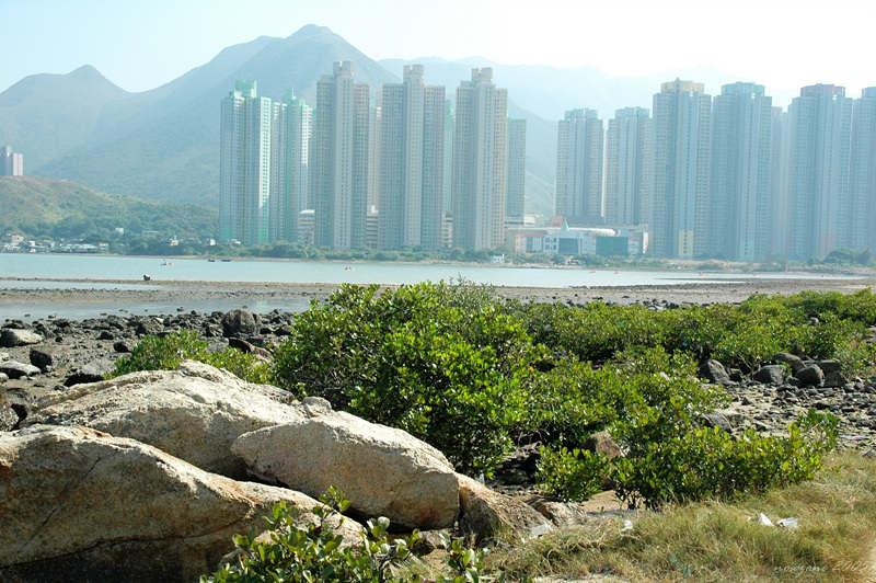 DSC_0019 在散頭前的海邊拍攝逸東村.jpg