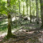 DSCN1759.JPG