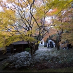 Zuiryuji
