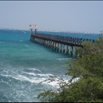 Prison Island