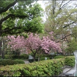doshisha university (imedagawa camp)