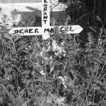 Tombe d