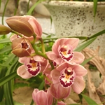P1400156.JPG