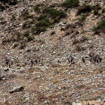 HelanShan Rock Engravings(贺兰山岩画),Ningxia (宁夏),China