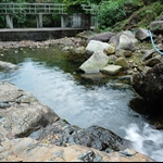 DSC_7189.jpg