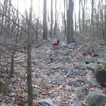 P3050010.JPG