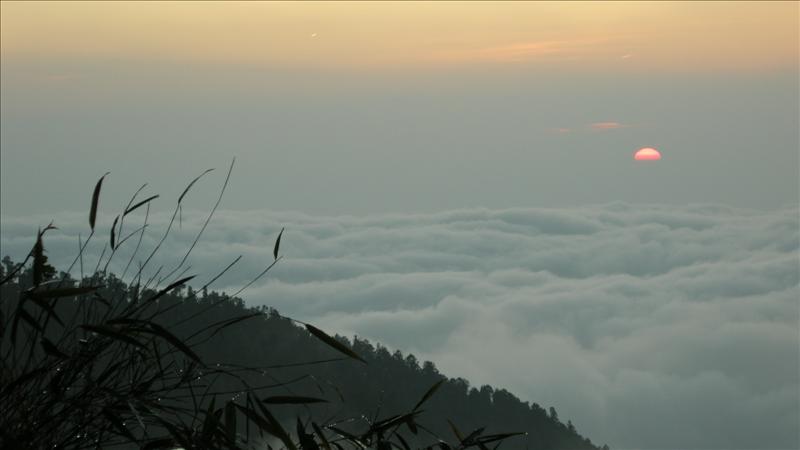DSCN0376.jpg
