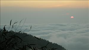 DSCN0376.jpg