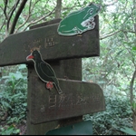 照片 034.jpg