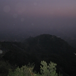 IMG_3511.JPG