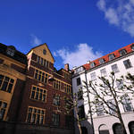 DSC_0175.jpg