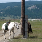IMG_7088.jpg