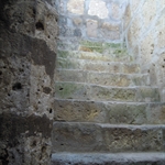 DSCN0278.JPG