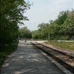 P1010728.JPG