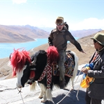 Road to Lhasa 8.  Gyantse to  Lhasa via yamdrok Tso (Turquoise lake)   oct11