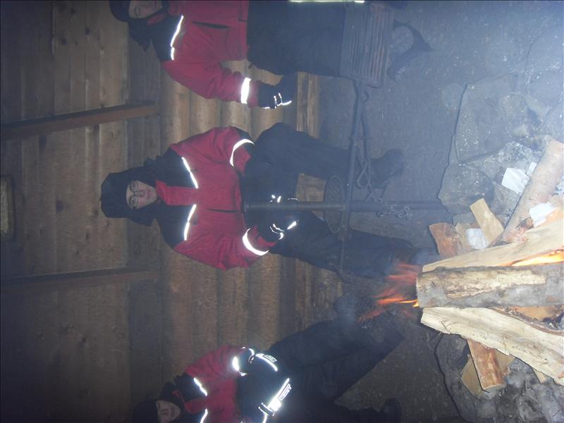 Sausages safari