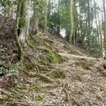 加里山 (11).JPG