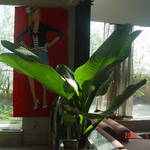 DSC07458.JPG