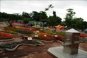 DSC_5325.jpg