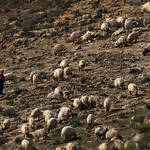 2012022709_50_420340_Mount Nebo.jpg