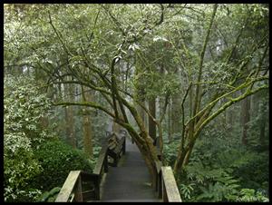 DSCN0350.jpg