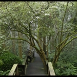DSCN0350.jpg