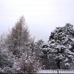 DSC02853.JPG