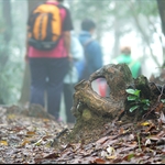 DSC_6490.jpg