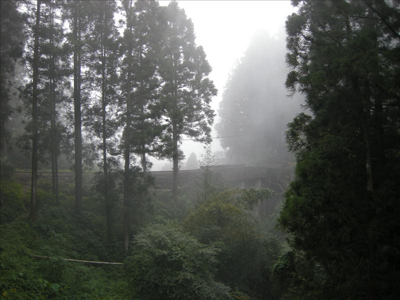 DSCN0484.jpg