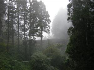 DSCN0484.jpg