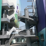 貓纜 (1).JPG