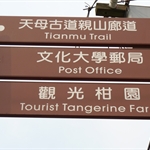 陽明山賞花