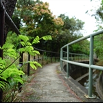 水塘引水道 Catchwater