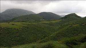 DSCN3681_0107.jpg