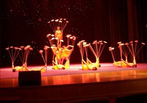 ACROBATIC DISPLAY - BALANCING PLATES